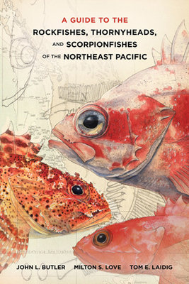 A Guide to the Rockfishes, Thornyheads, and Scorpionfish of the Northeast Pacific, by John Butler, Milton S. Love, and Thomas E. Laidig. (c) 2012 by the Regents of the University of California. Published by the University of California Press.