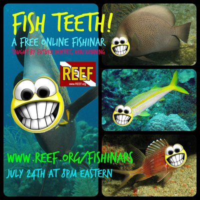 fishteeth.jpg